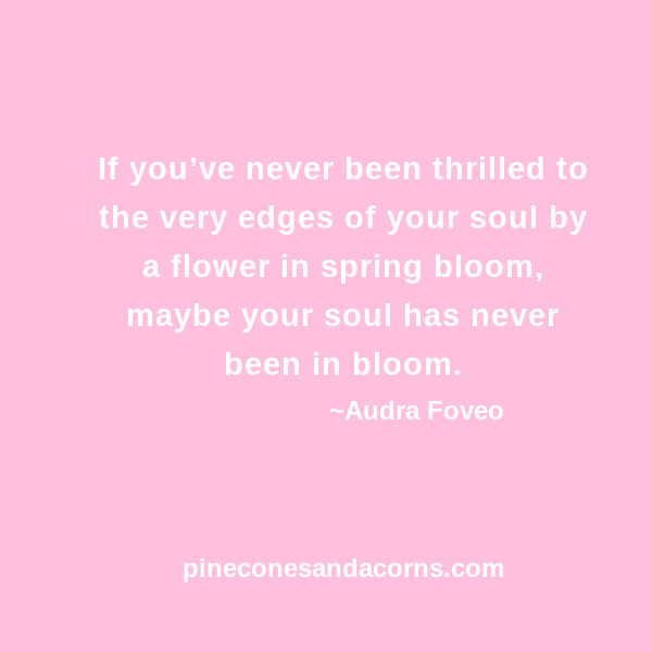 If you’ve never been thrilled to the very edges of your soul by a flower in spring bloom, maybe your soul has never been in bloom. If you’ve never been thrilled to the very edges of your soul by a flower in spring bloom, maybe your soul has never been in bloom.