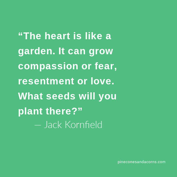 “The heart is like a garden. It can grow compassion or fear, resentment or love. What seeds will you plant there?”