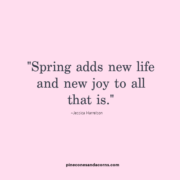 Jessica Harrelson Springs add new life and new joy to all that is