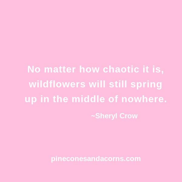 Friday Favorites No matter how chaotic it is, wildflowers will still spring up in the middle of nowhere.