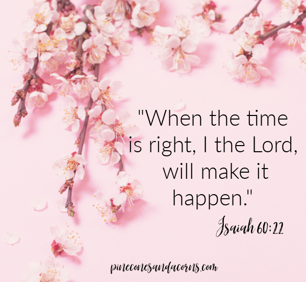 Silent Sunday Isaiah 60:22