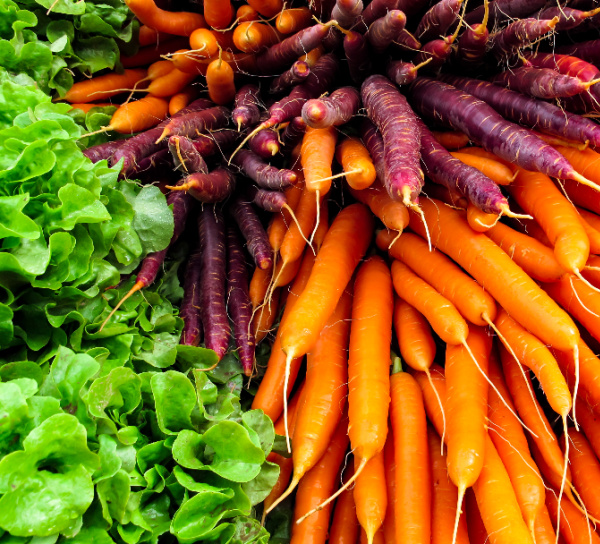 colorful spring carrots. 