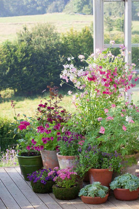 Monday musings Container gardening