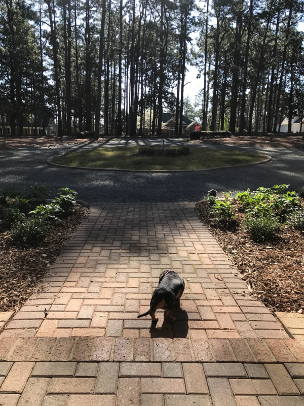 finding joy in the little things view from the front door