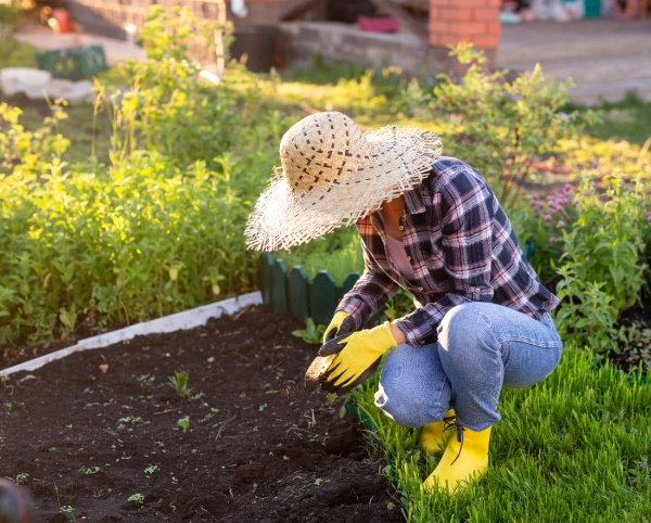 Wednesday wellness planting a garden