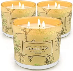 friday favorites citronella candles