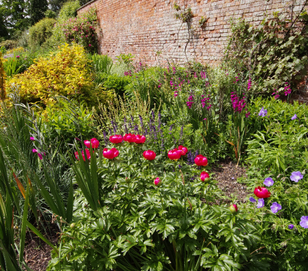 Monday musings English flower garden