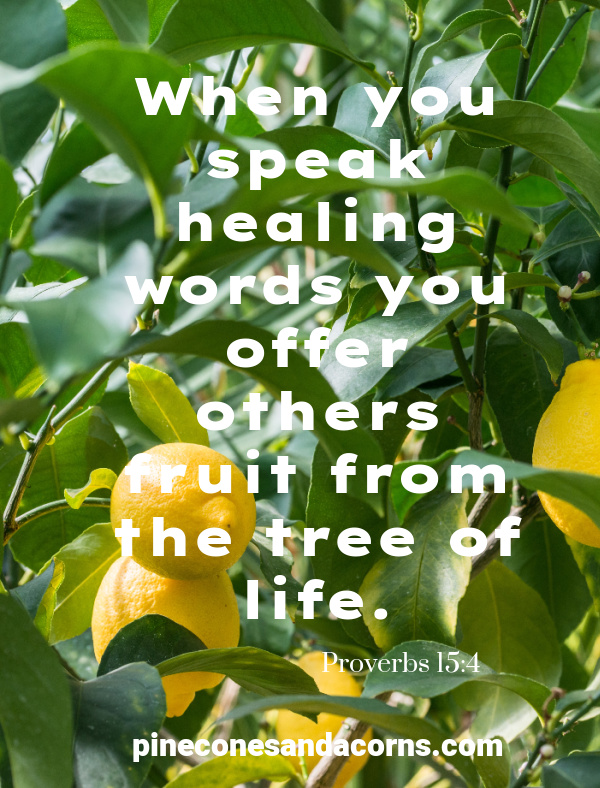 Silent Sunday Proverbs 15_4