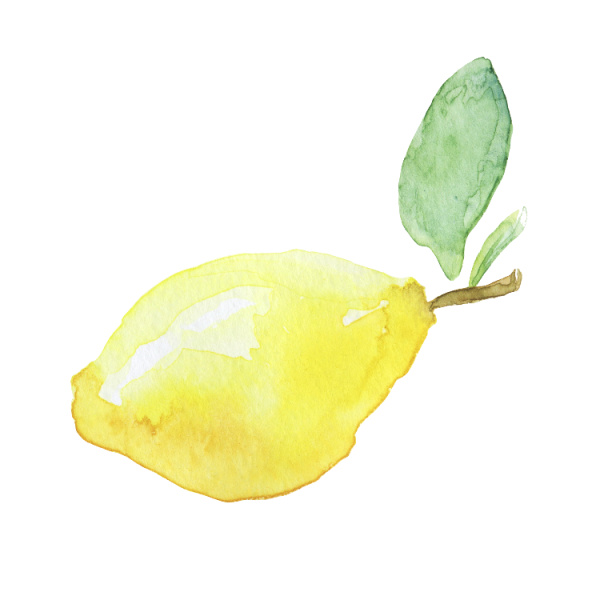 watercolor painting of a lemon