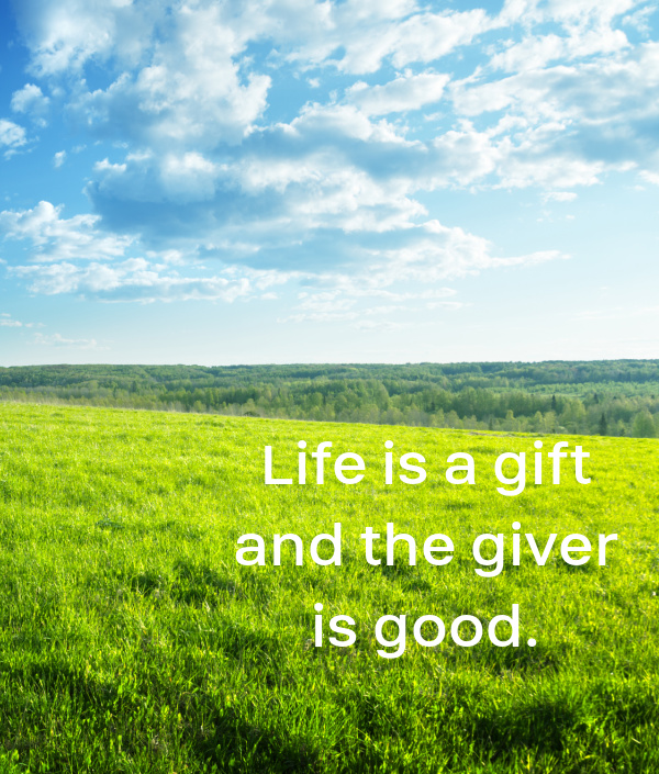 silent Sunday life is a gift and the giver is good-2