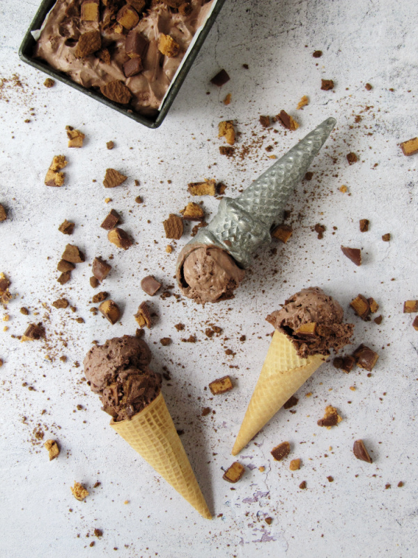 No-Churn-Chocolate-Peanut-Butter-Cup-and-Cookie-Ice-Cream-pinecones-and-acorns-1