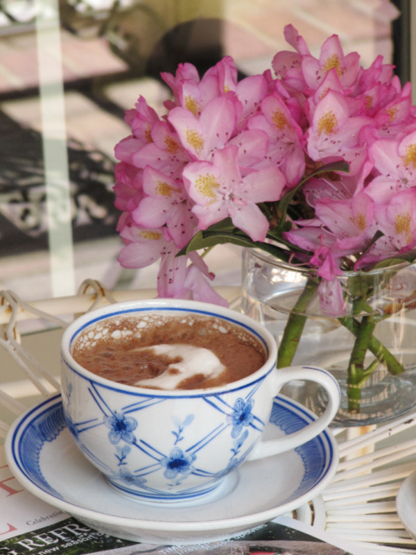 weekend meanderings hot chocolate and pick flowers