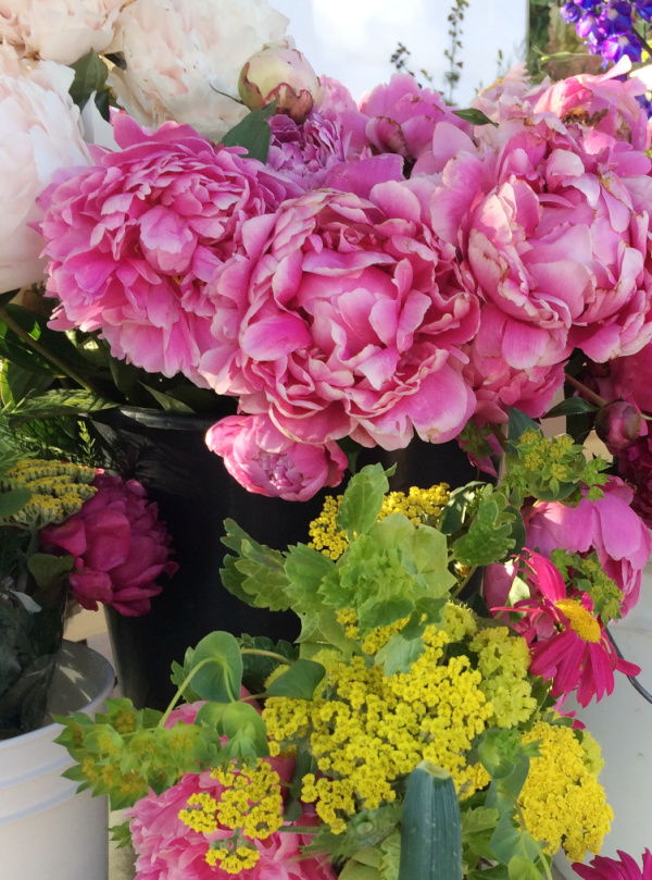 peonies and wild flowers