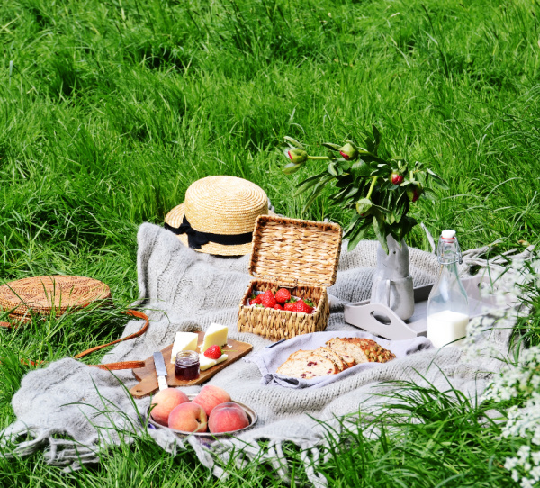 weekend meanderings picnic blanket with food on green grass