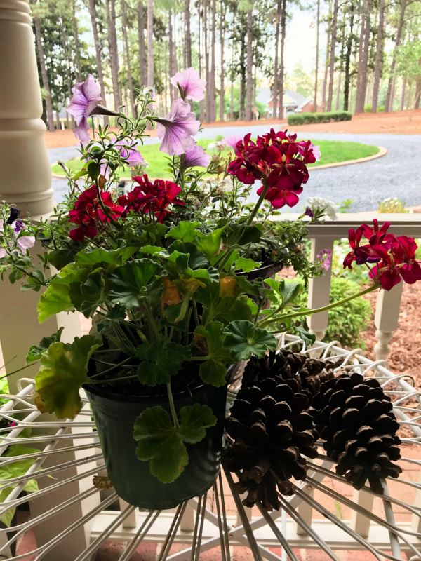 summer flowers on an iron table with pinecones