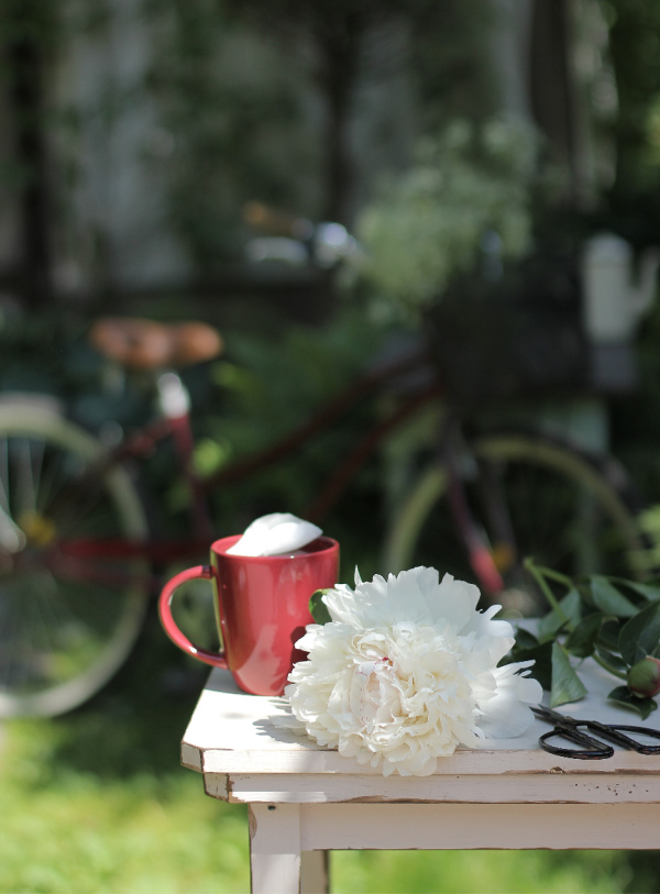 Monday musings white peony on a white table with a red cup