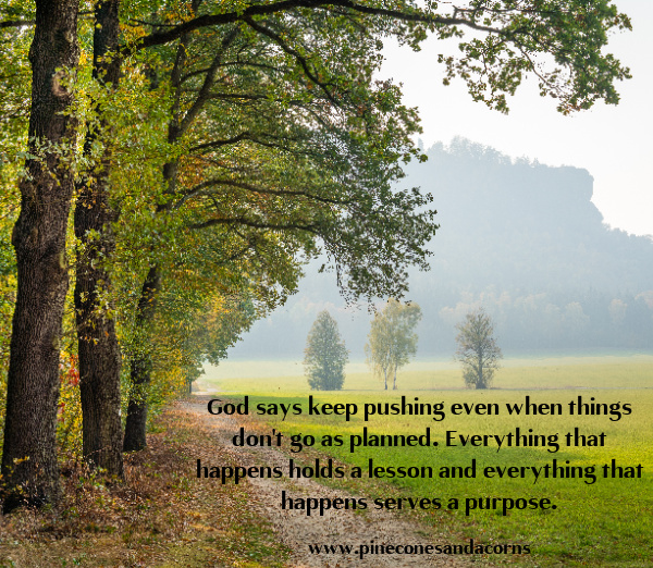 Silent Sunday Quote