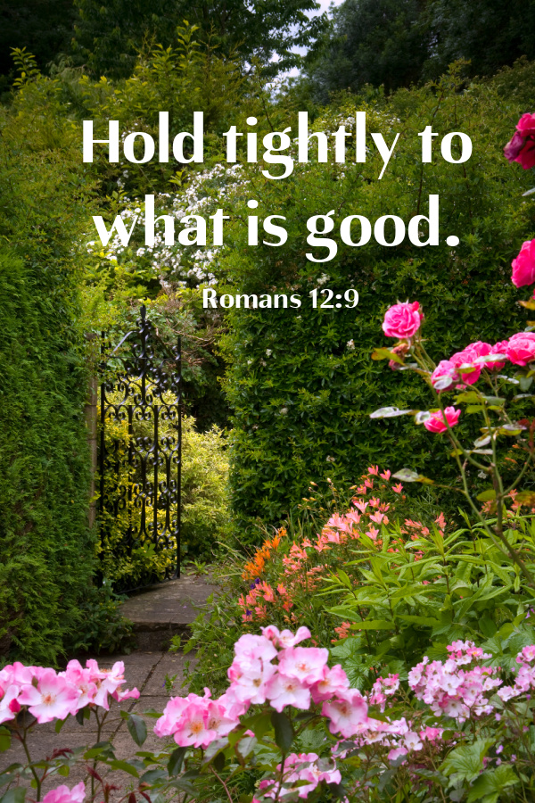 Hold tightly to what is good