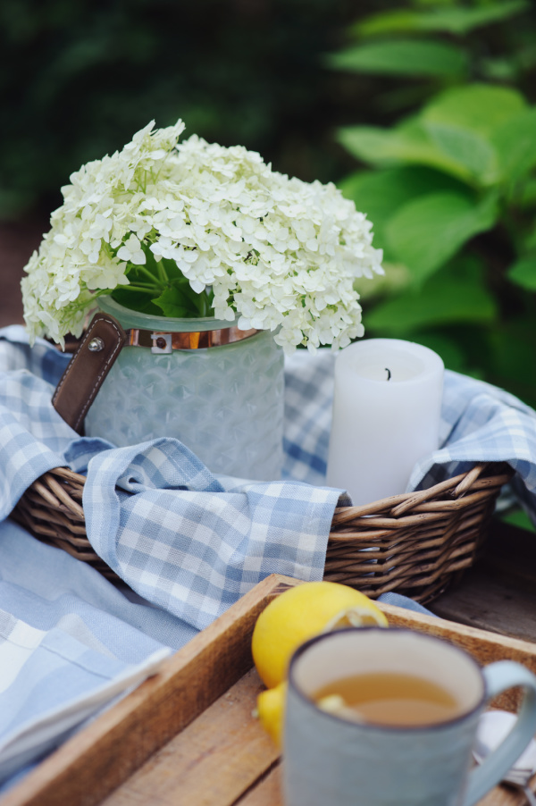 hydrangeas and a cup of tea
