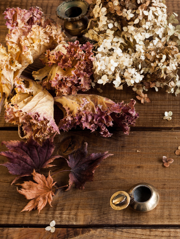 Monday Musings No. 35