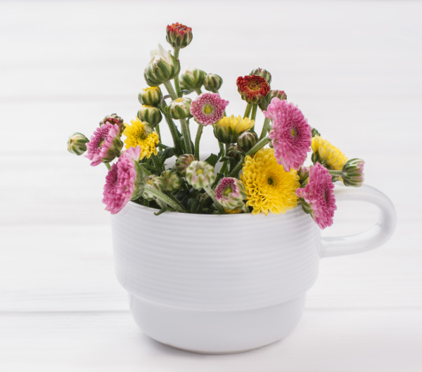 weekend meanderings pink yellow and white flowers in a white tea cup