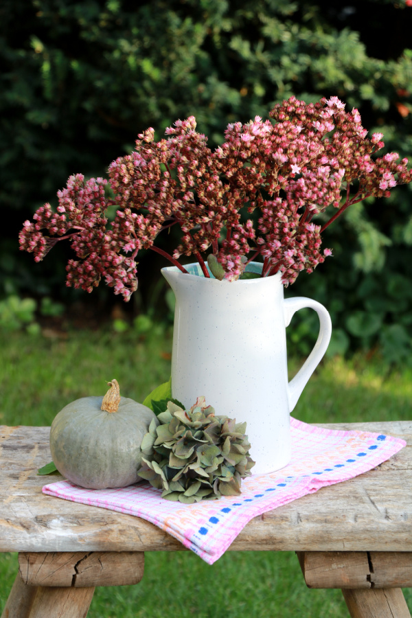 weekend meanderings pumpkins hydragneas