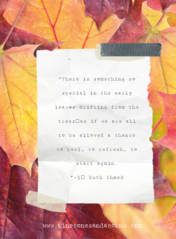 There is something so special in the early leaves drifting from the trees–as if we are all to be allowed a chance to peel, to refresh, to start again.-2