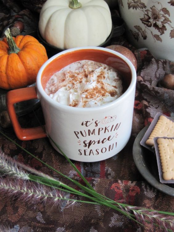 21 things I love about Fall Cup with "its pumpkin spice season" filled with cocoa on a plaid blanket with pumpkins scattered