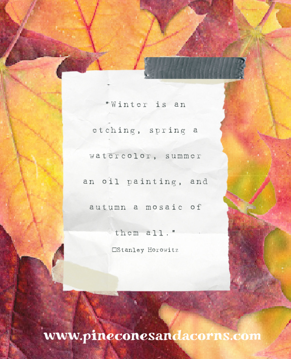 Quote Fall Stanley Horowitz