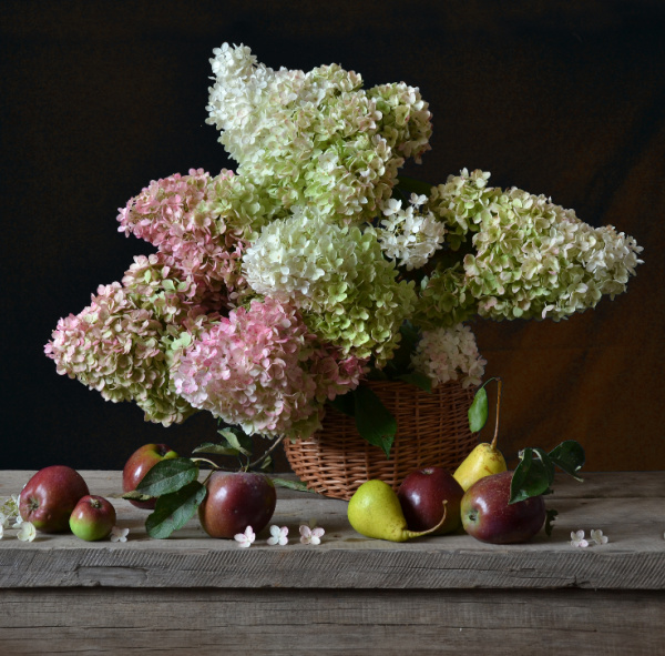 fall still life with pears apples and hydragneas