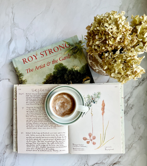 flatlay with 2 books dried hydragneas and a cup of hot chocolate