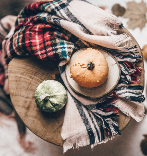 friday favorites pumpkins and plaid