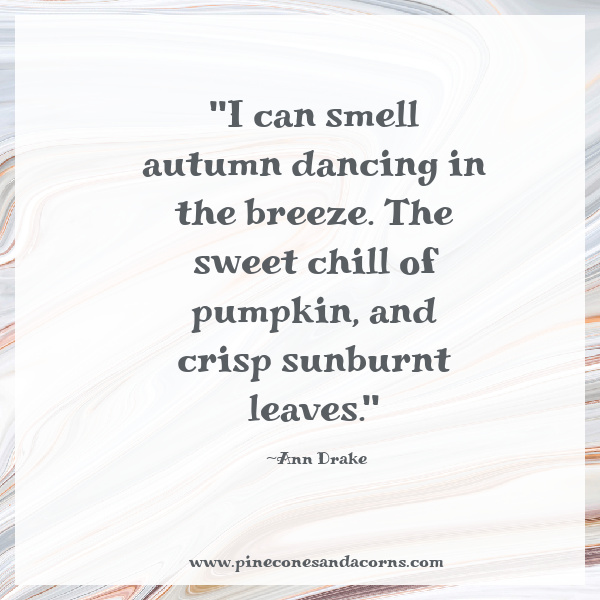 quote I can smell autumn dancing in the breeze. The sweet chill of pumpkin, and crisp sunburnt leaves.