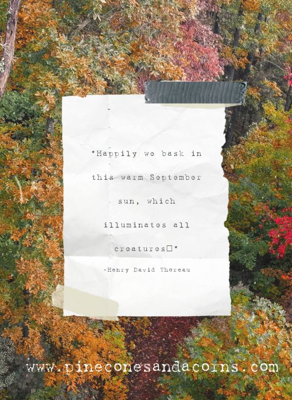 quote Henry David Thoreau “Happily we bask in this warm September sun, which illuminates all creatures…”