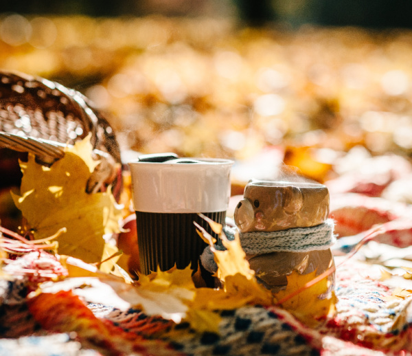 two cups on fall leaves