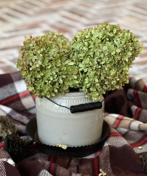 dried hydragneas in a vintage crock on a vintage brown plaid blanket