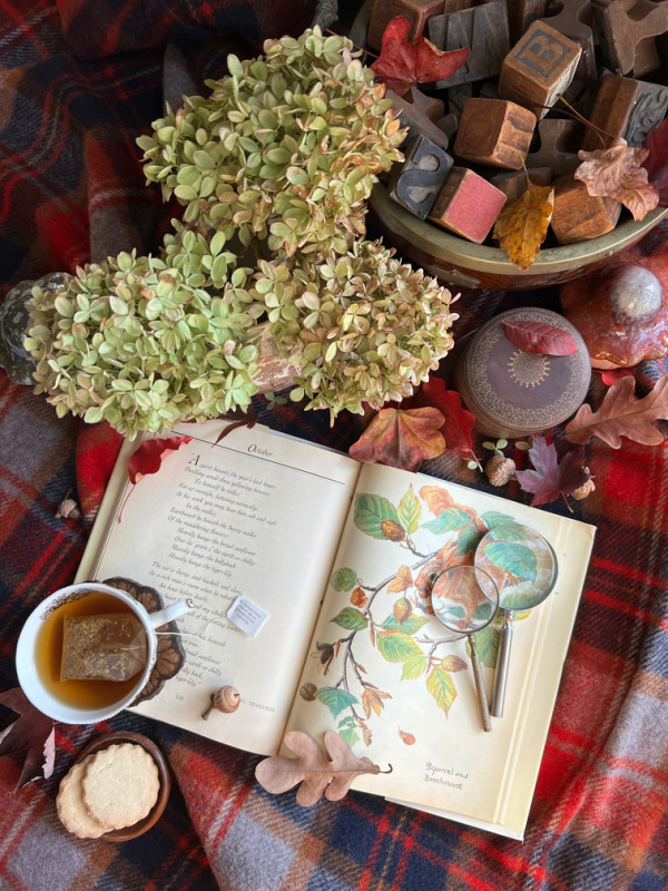 flatlay diary of a country lady tea dried hydragneas and cookies on a plaid blanket.