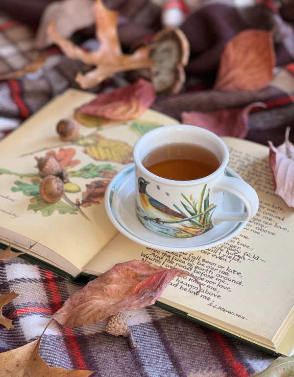 friday Favorites cup of tea with bird and a book with falling leaves on a plaid picnic blanket