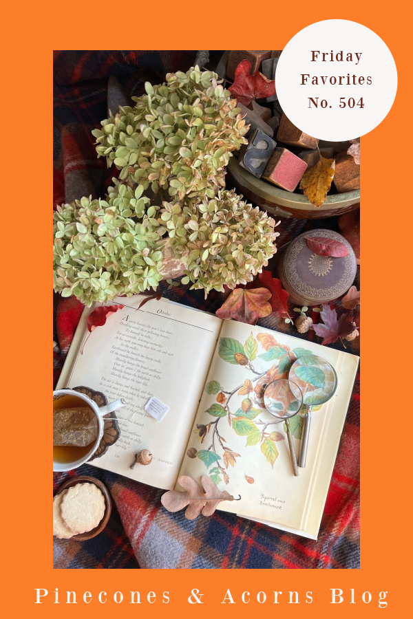 friday favorites no 504 Pinterest pin