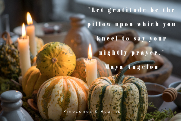 Let gratitude be the pillow upon which you kneel to say your nightly prayer. Maya Angelou