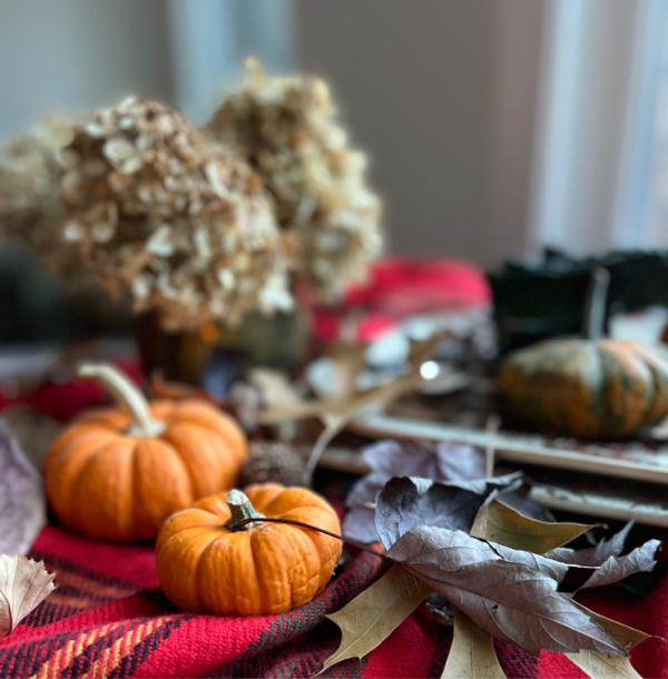Fall pumpkins dried hydrangeas and pumpkins with fallen leaves