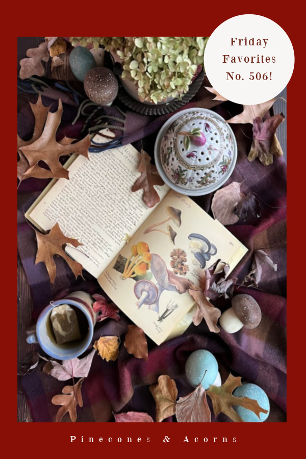 Friday Favorites 506 Pin