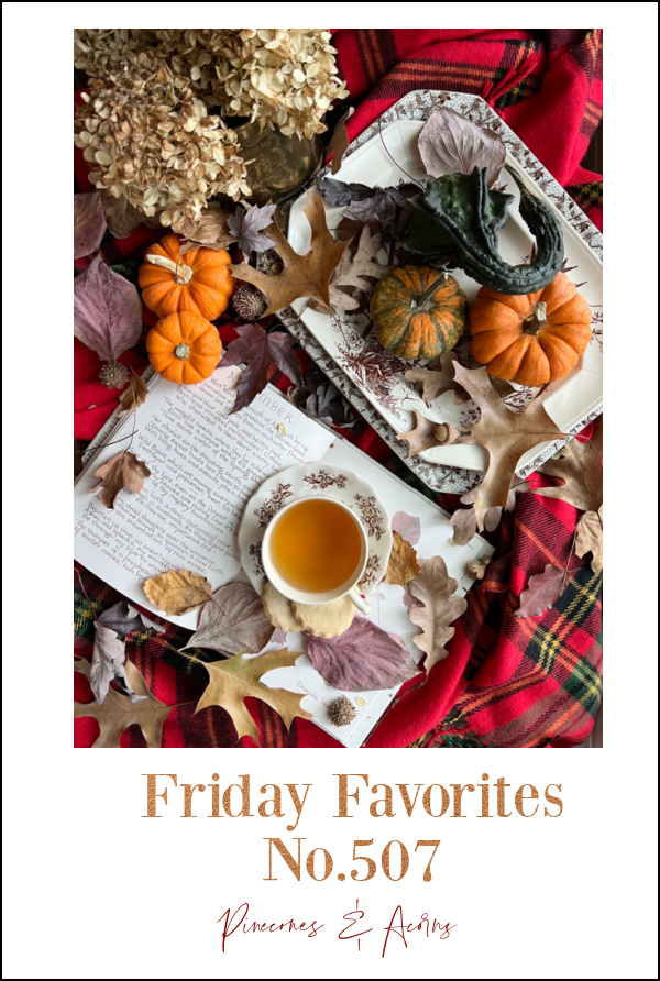 Friday Favorites 507 Pin