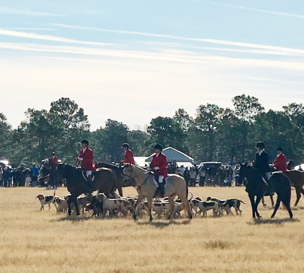 blessing of the hounds