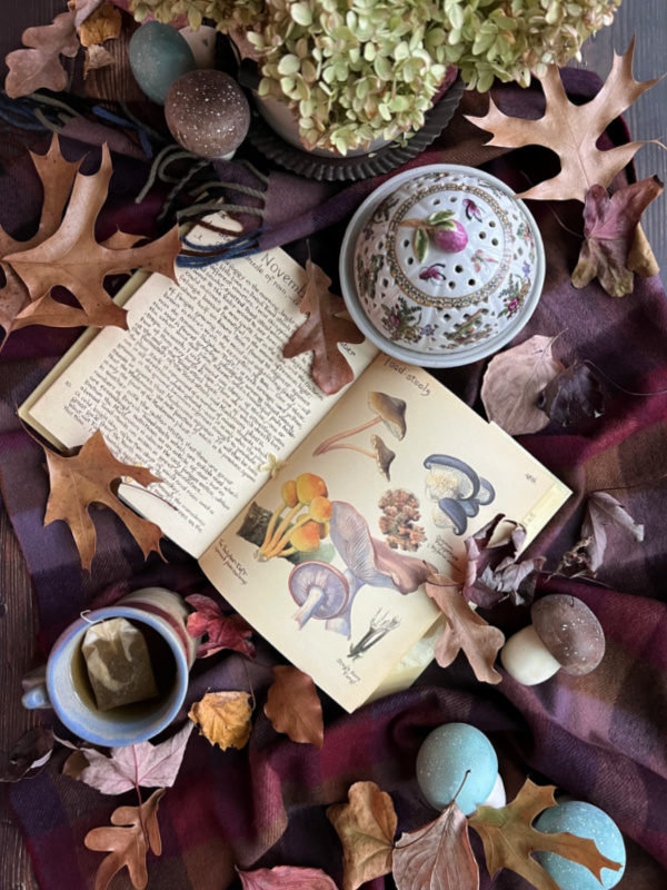 flatlay books teak falling leaves and toadstools.