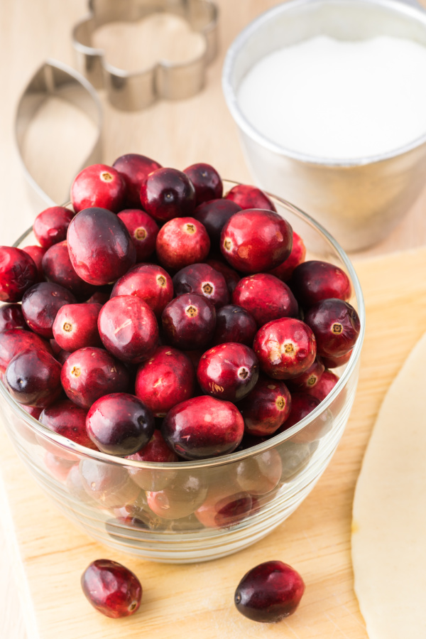 fresh cranberries in a bowl