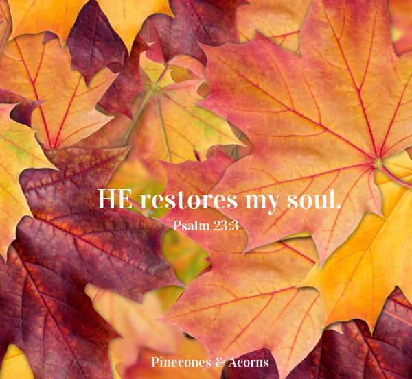 he restores. my soul
