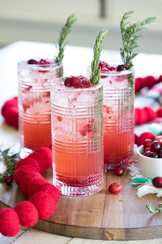sparkling cranberry gin fizz