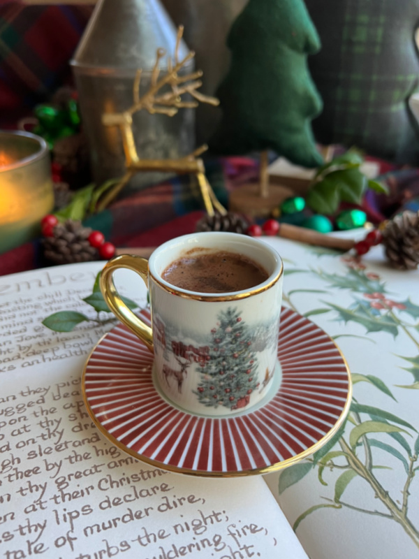 cup of hot chocolate and a book