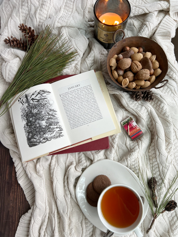 Flatlay photo with a book, tea, pine and nuts.